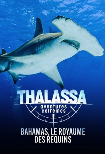 Thalassa: Extreme Adventures