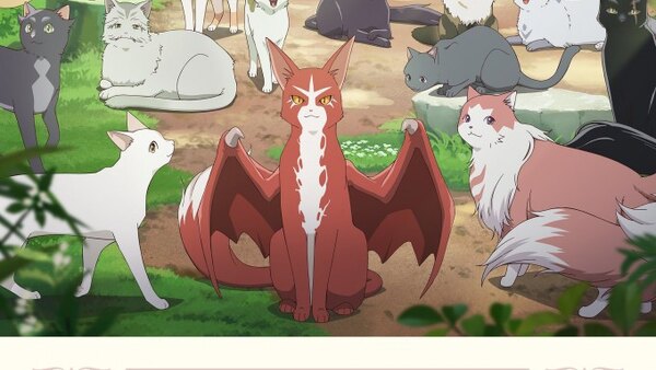 The Cat and the Dragon