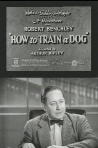 How to Train a Dog