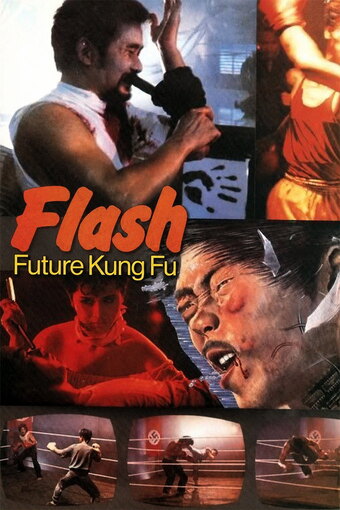 Flash Future Kung Fu