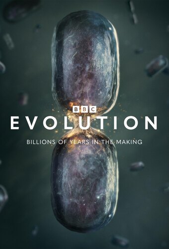 Evolution