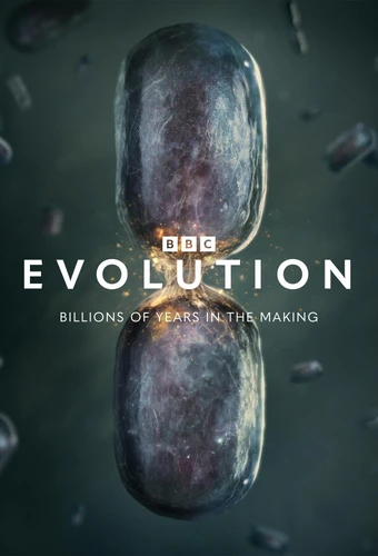 Evolution