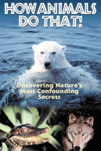 How Animals Do That!