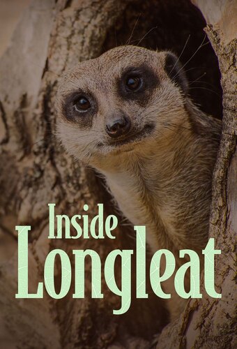 Inside Longleat