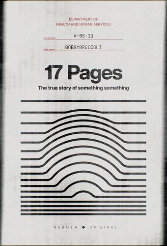 17 Pages