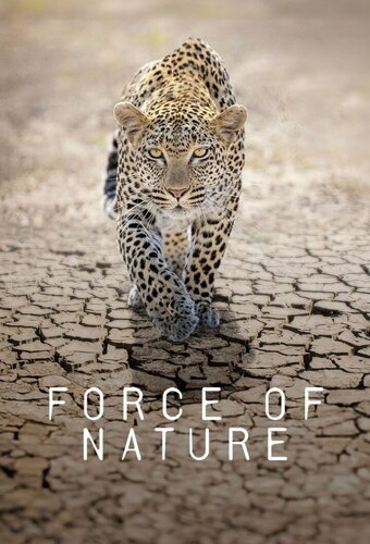 Force of Nature