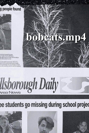 bobcats.mp4