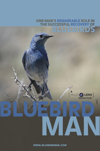 Bluebird Man