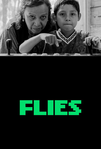 Flies