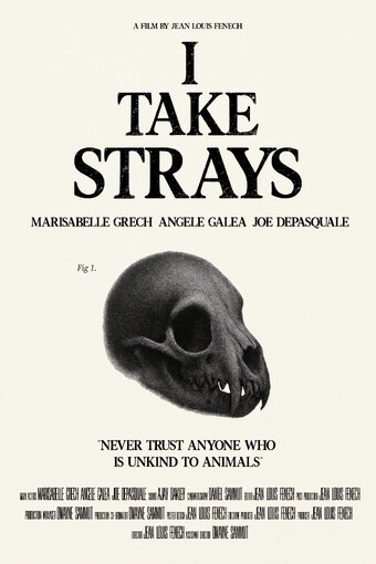 I TAKE STRAYS