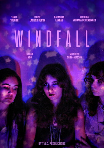 WINDFALL