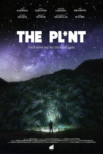 The Plant