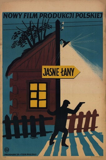Jasne łany