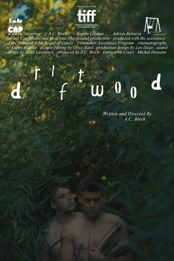 Driftwood