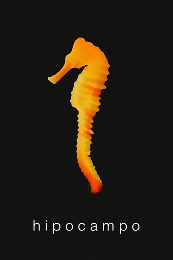 Hippocampus