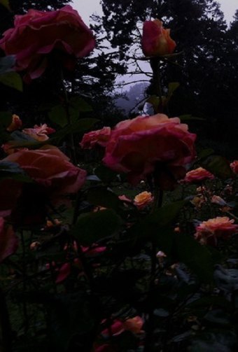 Summer