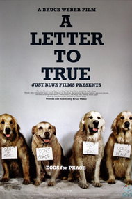 A Letter To True