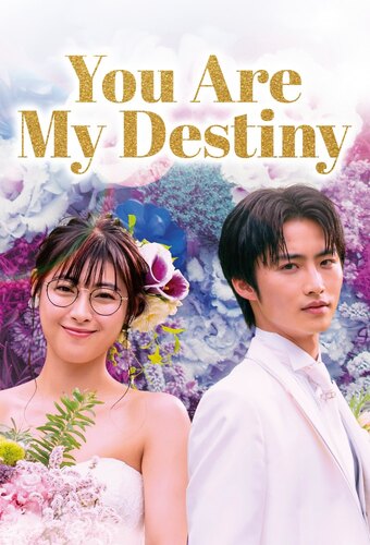 You Are My Destiny (JP)
