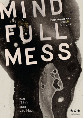 Mindfullmess
