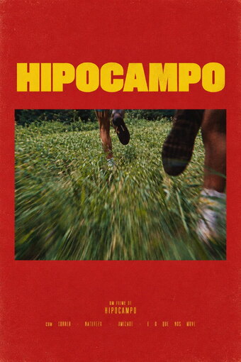 HIPOCAMPO