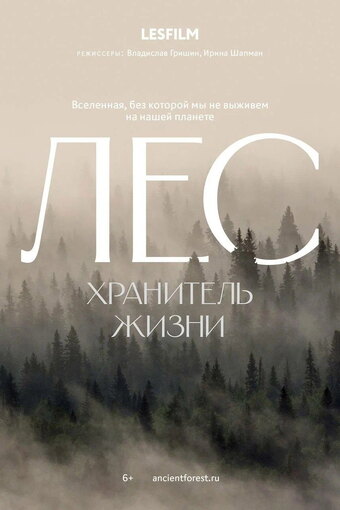 The Forest