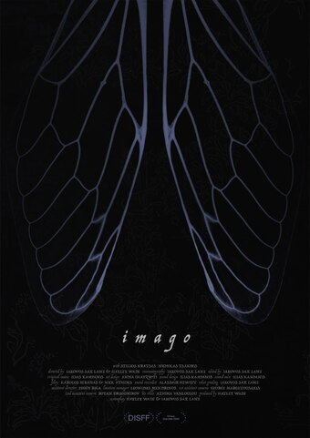 Imago