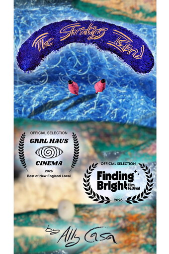 The Shrinking Island