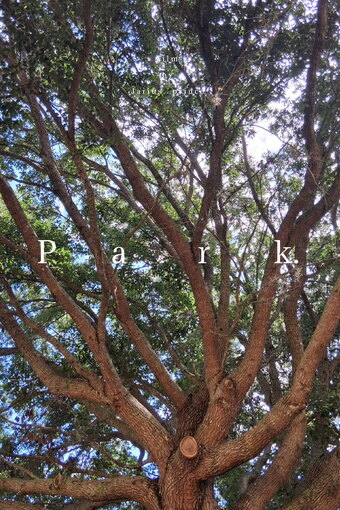 Park.