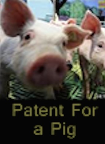 Monsanto - Patent For a Pig