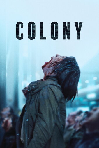 Colony