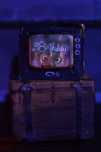Birthday