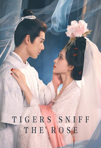 Tigers Sniff The Rose