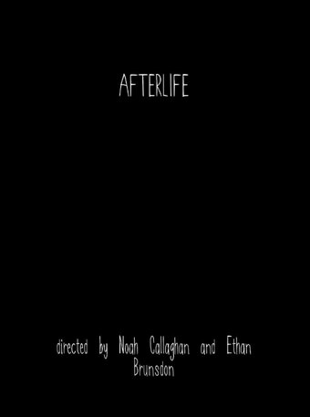 Afterlife
