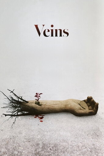 Veins
