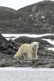 Expedition Svalbard: Part 1 - Hornsund to Bear Island