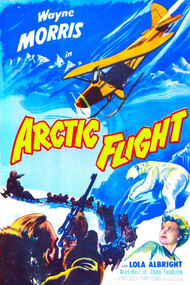 Arctic Flight