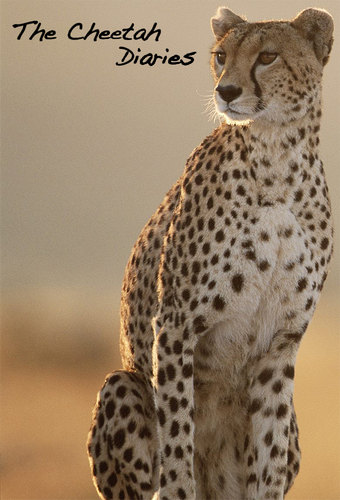 The Cheetah Diaries