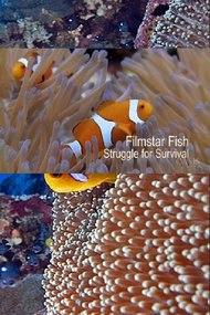 Filmstar Fish: Struggle For Survival