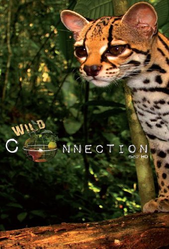 Wild Connection