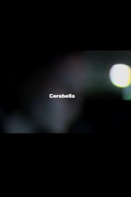 Cerebella