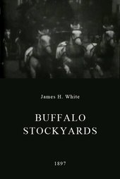 Buffalo Stockyards