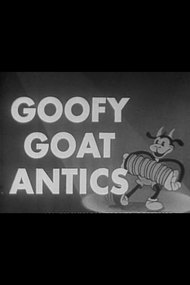 Goofy Goat Antics