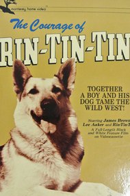 The Challenge of Rin Tin Tin