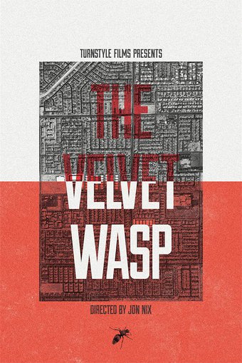The Velvet Wasp