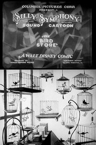The Bird Store