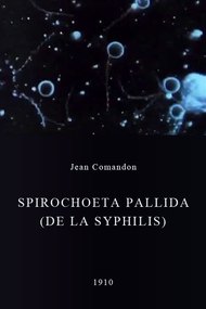 Spirochoeta pallida (de la syphilis)