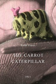 The Carrot Caterpillar