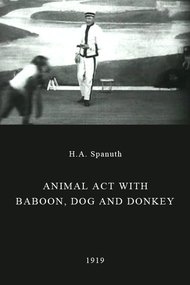 Animal Act with Baboon, Dog and Donkey
