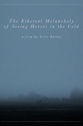 The Ethereal Melancholy of Seeing Horses in the Cold