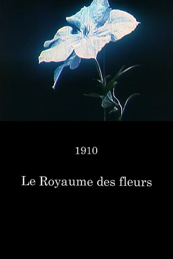 Etude de fleurs